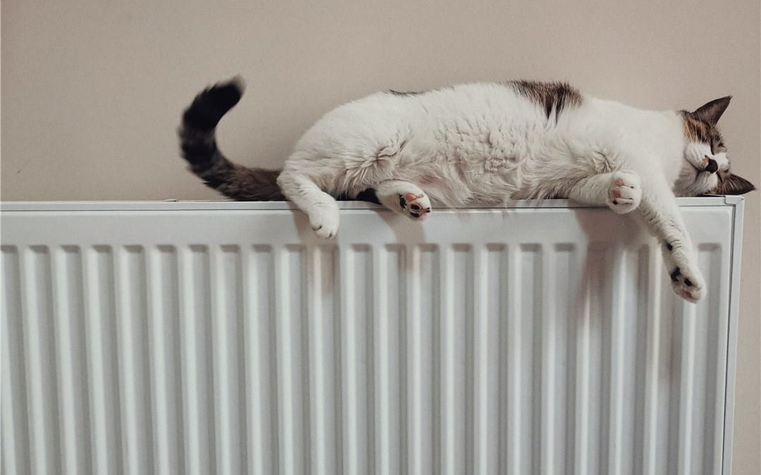 L’énergie de votre logement : comment choisir son type de chauffage ?